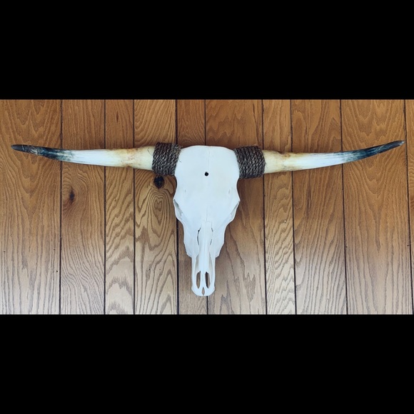 Longhorn euro mount - Picture 1 of 3